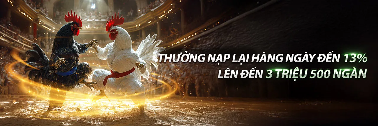 Đá Gà Trực Tuyến nn8 Hiện Đang Mở